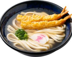 資さんうどん 206_海老天2尾うどん