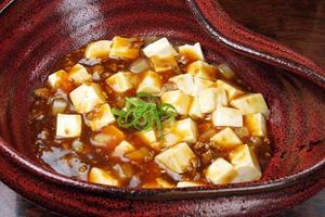 広東風 麻婆豆腐Cantonese style mapo tofu