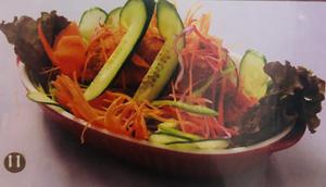 カトマンズスペシャルサラダ Special Salad