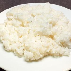 プレーンライス Plain Rice