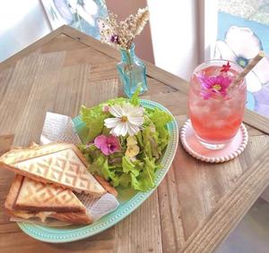 ホットサンドとサラダ(単品)