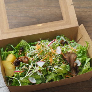 オーガニック野菜のサラダBOX