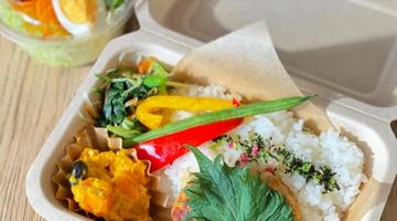 豆腐ハンバーグ弁当サラダ付き