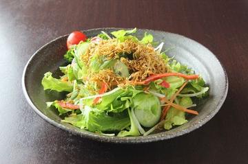 しらす野菜サラダ