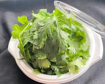 パクチーシャワー Extra Coriander
