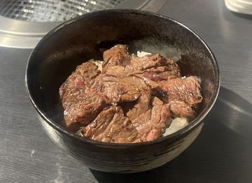 八勝はらみ丼(並)