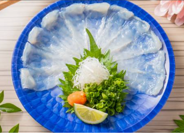 とらふぐ肉厚てっさ(ふぐ刺し) Thickly-Sliced Pufferfish Sashimi