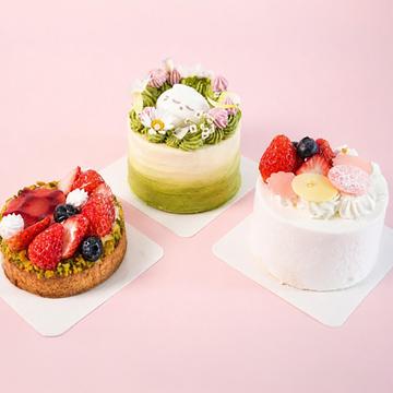 くつろぎ/フルーツタルト
