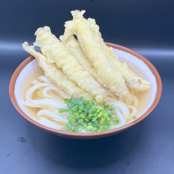 ごぼう天うどん
