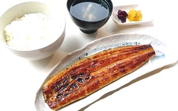 鰻 1尾入