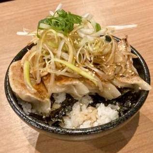 餃子丼(ごはん250g)