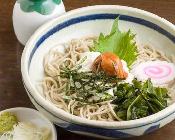 冷やし梅とろろ (そばorうどん) Cold Ume and Grated Yam Set (Soba or Udon)