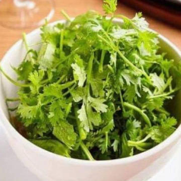 パクチーサラダ/Coriander Salad