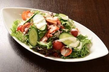 マナスルスペシャルサラダ manaslu special salad