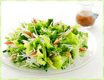 GREEN SALAD 新鮮な野菜を使ったヘルシーなサラダ