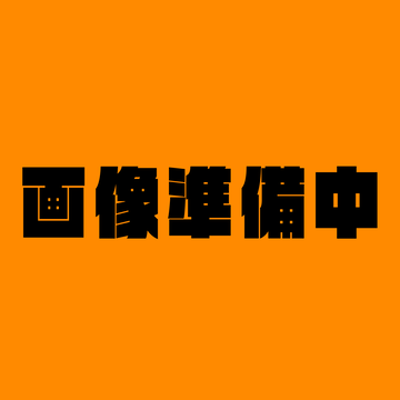 ココナッツカレー(キーマ)