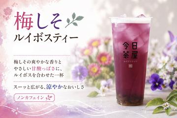 【新発売】梅しそルイボスティー
