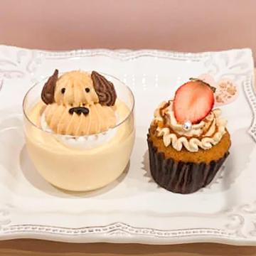 もっふんプリン＆カップケーキセット
