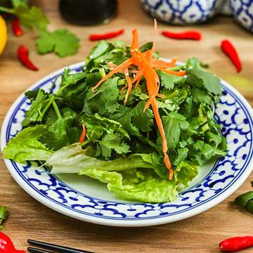 パクチーサラダ Coriander Salad
