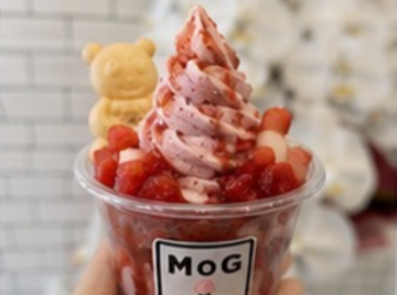 MoG ice