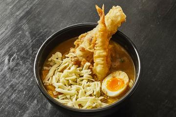 スペシャルカレーうどん