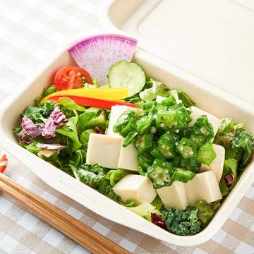 選べるドレッシング豆腐とおくらの10種野菜サラダ