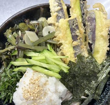 ナス天山菜そば