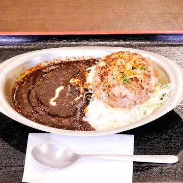 県産和牛とアグーのハンバーグカレー