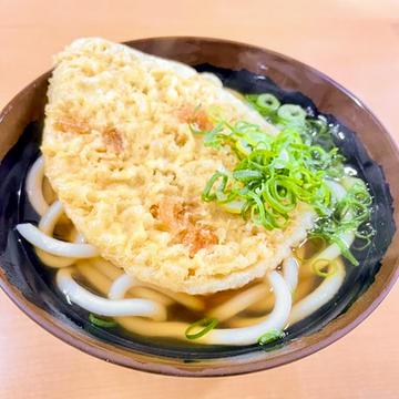 天ぷらうどん