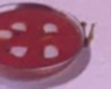 チキンドピアザカレー