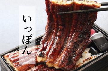 丸ごと1本！フタに困ったうな重弁当