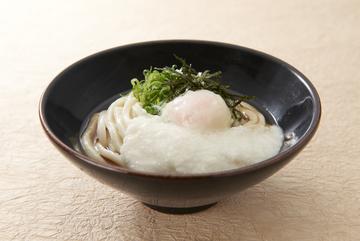 とろ玉うどん(並)