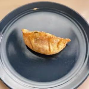 揚げぎょうざ