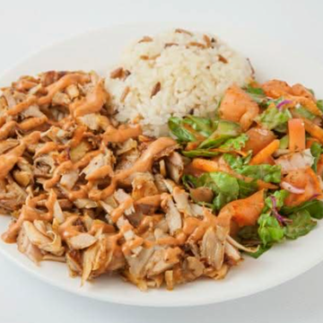 チキンケバブプレート Chicken Kebab Plate