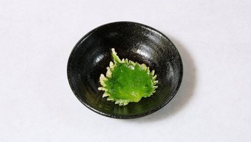 大葉天