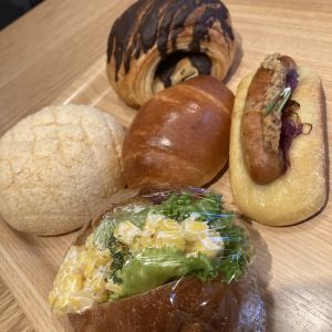 お試しパック(5個入り)