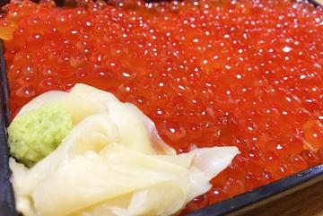 特盛いくら真紅重 海鮮丼弁当