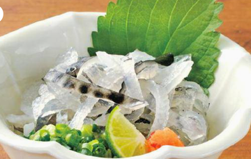 湯引き Parboiled Pufferfish Skin