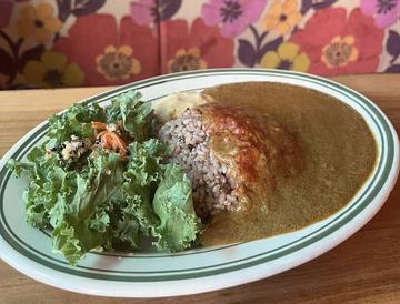 ビーガンカレー オーガニック野菜カレー Vegan Spicy Curry Orgnic