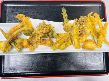 初夏の野菜の盛りだくさん天ぷら盛り合わせ