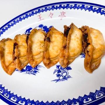 揚げギョーザ