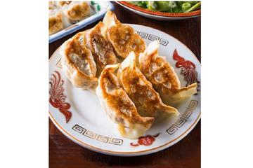 ぷっくり大餃子(6個) Large Gyoza Dumplings(6 Pieces)