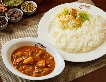 ベジタブルカレー (サラダ・ライス付) Vegetable Curry (Salad & Rice)