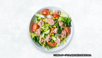 スパイシーチキンサラダ