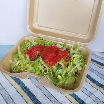 タコライス(S)