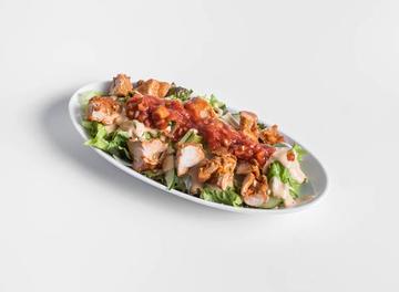 タンドーリチキンサラダ Tandoori Chicken Salad(TS)