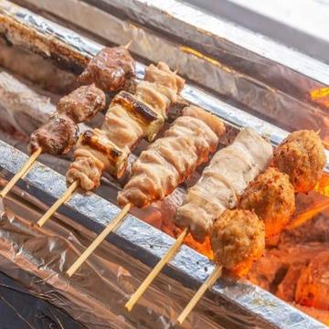 お任せ焼き鳥5本塩