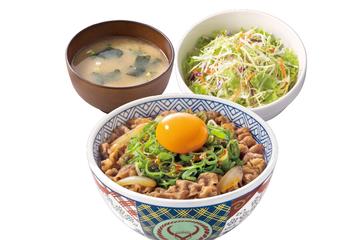 ねぎ玉牛丼サラダセット