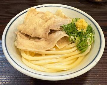 肉うどん Udon with Sliced Meat