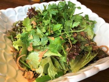 生野菜パクチーサラダ Raw Vegetables and Cilantro Salad